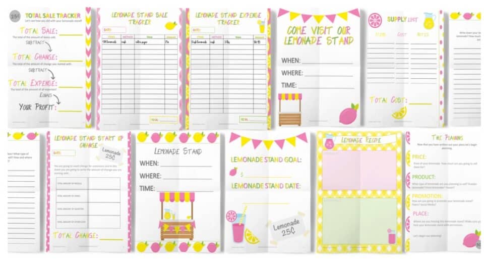 10 Lemonade Stand Worksheets (Math, Business Plan, Budgeting, etc.)